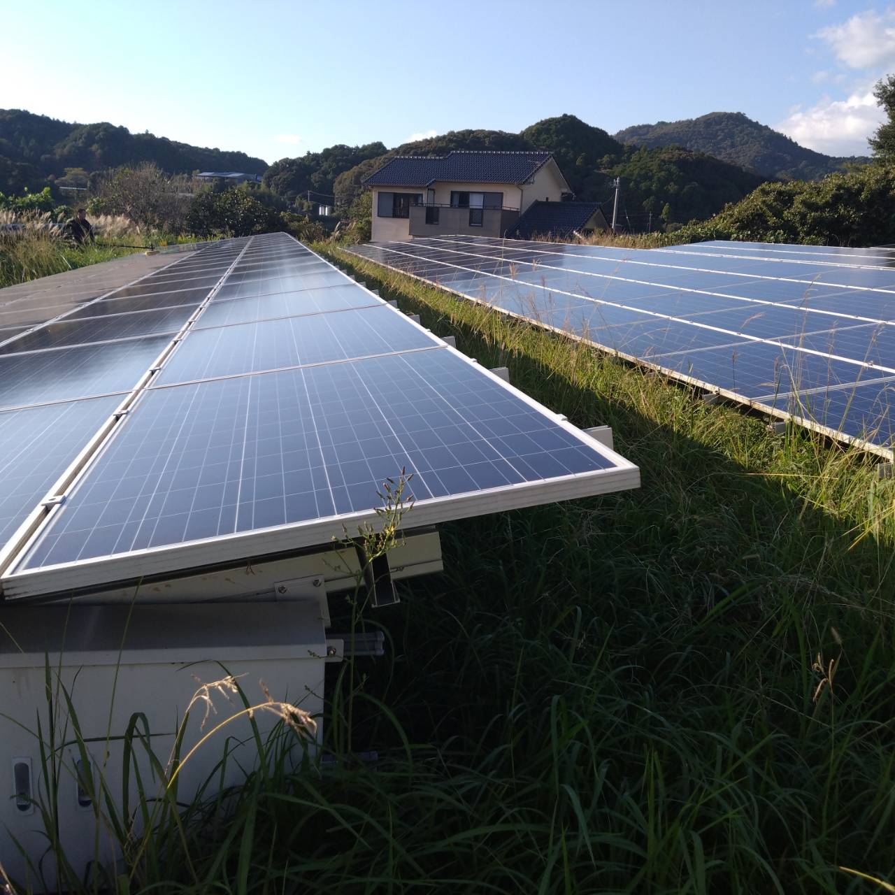 2025.10.31　頑固汚れに挑戦